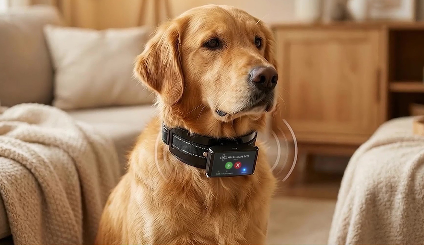 Wireless communication